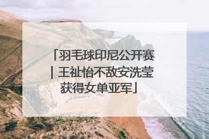 羽毛球印尼公开赛｜王祉怡不敌安洗莹 获得女单亚军