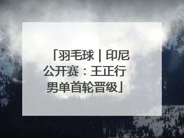 羽毛球｜印尼公开赛：王正行男单首轮晋级
