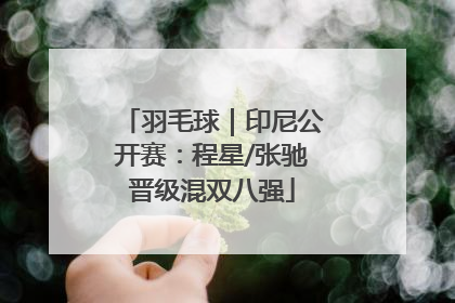 羽毛球｜印尼公开赛：程星/张驰晋级混双八强