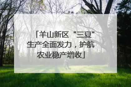 羊山新区“三夏”生产全面发力，护航农业稳产增收