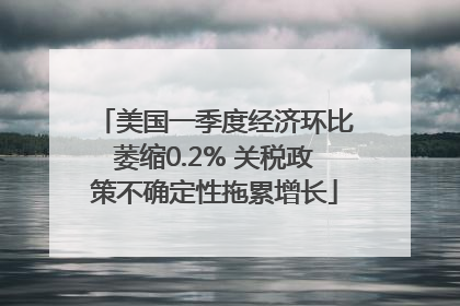 美国一季度经济环比萎缩0.2% 关税政策不确定性拖累增长
