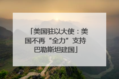 美国驻以大使：美国不再“全力”支持巴勒斯坦建国
