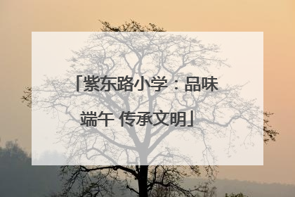 紫东路小学：品味端午 传承文明
