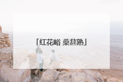 红花峪 桑葚熟