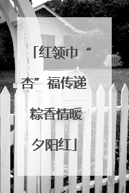 红领巾“杏”福传递 粽香情暖夕阳红