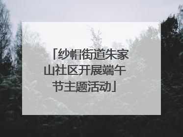 纱帽街道朱家山社区开展端午节主题活动