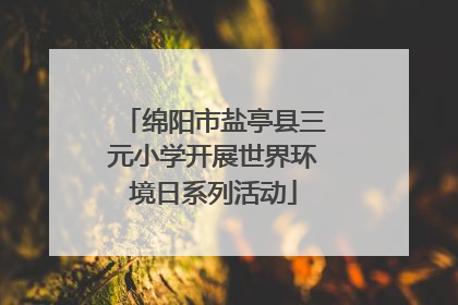 绵阳市盐亭县三元小学开展世界环境日系列活动