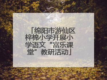 绵阳市游仙区梓棉小学开展小学语文“富乐课堂”教研活动