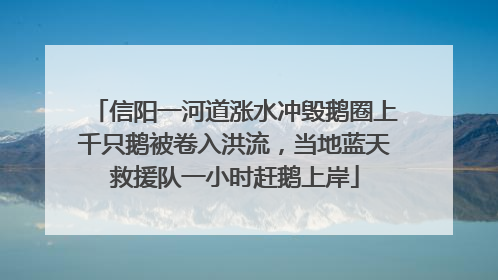 信阳一河道涨水冲毁鹅圈上千只鹅被卷入洪流，当地蓝天救援队一小时赶鹅上岸