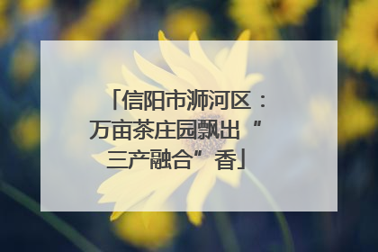 信阳市浉河区：万亩茶庄园飘出“三产融合”香