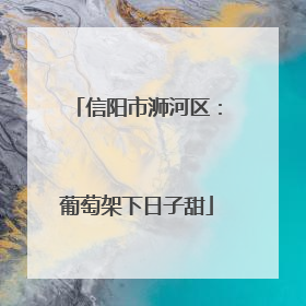 信阳市浉河区：葡萄架下日子甜