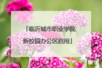 临沂城市职业学院新校园办公区启用