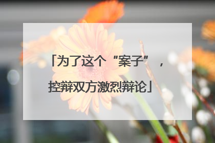 为了这个“案子”，控辩双方激烈辩论