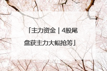 主力资金｜4股尾盘获主力大幅抢筹