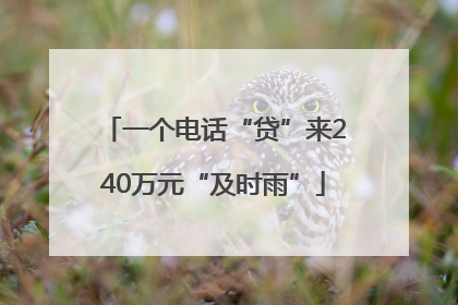 一个电话“贷”来240万元“及时雨”
