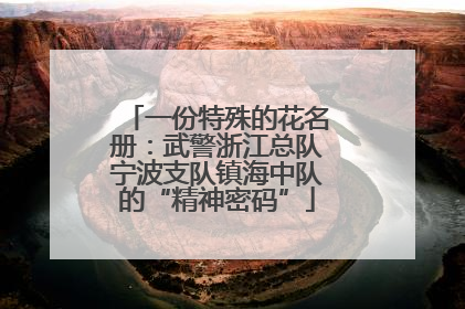 一份特殊的花名册：武警浙江总队宁波支队镇海中队的“精神密码”