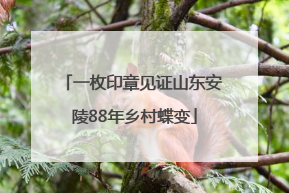 一枚印章见证山东安陵88年乡村蝶变