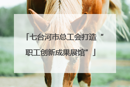 七台河市总工会打造“职工创新成果展馆”