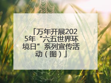 万年开展2025年“六五世界环境日”系列宣传活动（图）