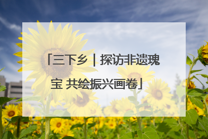 三下乡｜探访非遗瑰宝 共绘振兴画卷