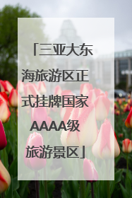 三亚大东海旅游区正式挂牌国家AAAA级旅游景区