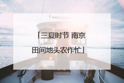 三夏时节 南京田间地头农作忙