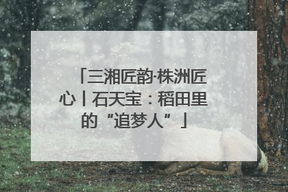 三湘匠韵·株洲匠心丨石天宝：稻田里的“追梦人”