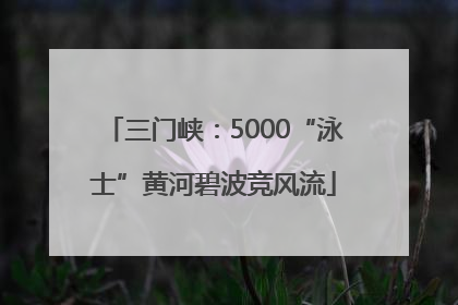 三门峡：5000“泳士”黄河碧波竞风流