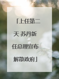 上任第二天 苏丹新任总理宣布解散政府