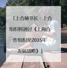 上合秘书长：上合组织将通过《上海合作组织至2035年发展战略》