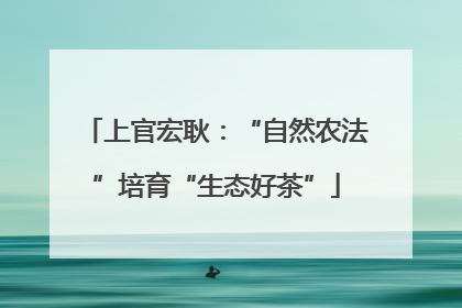 上官宏耿：“自然农法”培育“生态好茶”