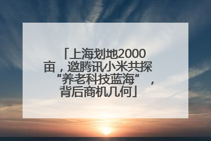 上海划地2000亩，邀腾讯小米共探“养老科技蓝海”，背后商机几何