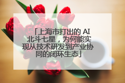 上海市打出的 AI 北斗七星，为何能实现从技术研发到产业协同的闭环生态