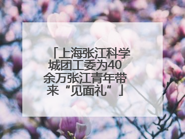上海张江科学城团工委为40余万张江青年带来“见面礼”