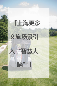 上海更多文旅场景引入“智慧大脑”