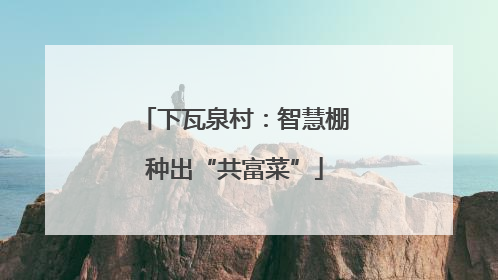下瓦泉村：智慧棚种出“共富菜”