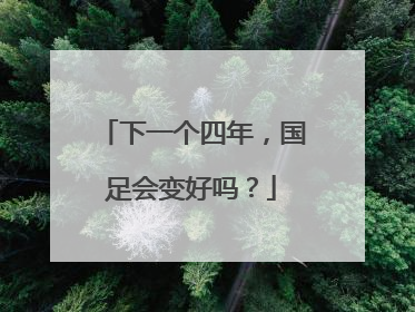 下一个四年，国足会变好吗？