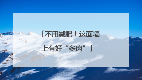 不用减肥！这面墙上有好“多肉”