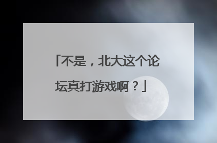 不是，北大这个论坛真打游戏啊？