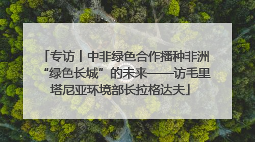 专访丨中非绿色合作播种非洲“绿色长城”的未来——访毛里塔尼亚环境部长拉格达夫