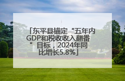 东平县锚定“五年内GDP和税收收入翻番”目标，2024年同比增长5.8%