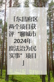 东昌府区两个项目获评“聊城市2024年度法治为民实事”项目
