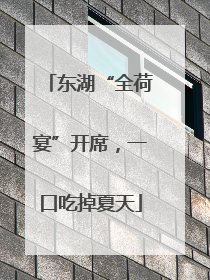 东湖“全荷宴”开席，一口吃掉夏天