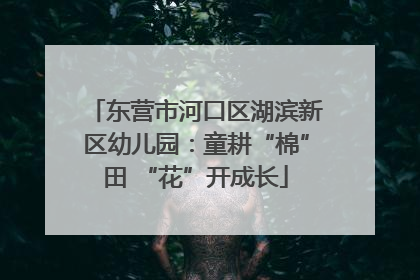 东营市河口区湖滨新区幼儿园：童耕“棉”田 “花”开成长