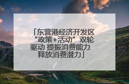 东营港经济开发区“政策+活动”双轮驱动 提振消费能力 释放消费潜力