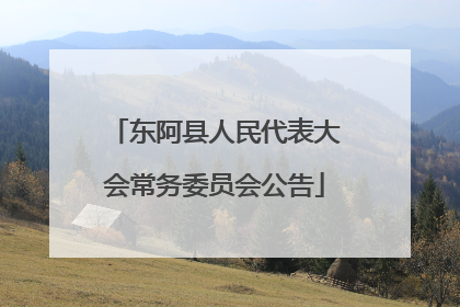 东阿县人民代表大会常务委员会公告