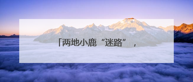 两地小鹿“迷路”，警民携手放归山林