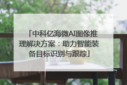 中科亿海微AI图像推理解决方案：助力智能装备目标识别与跟踪