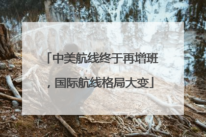 中美航线终于再增班，国际航线格局大变