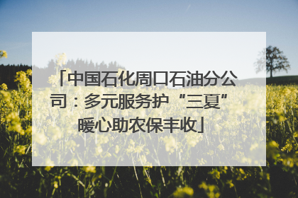 中国石化周口石油分公司：多元服务护“三夏” 暖心助农保丰收